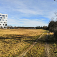 Gelände für die geplante Umgehungsstraße